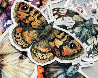 Butterfly sticker set of 8 -  Butterfly vinyl stickers - Insect stickers - Laptop sticker - Water bottle sticker - Weatherproof sticker