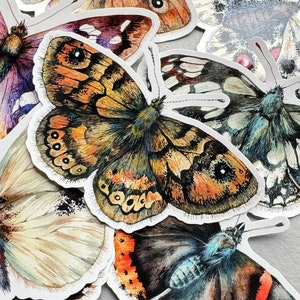 Butterfly sticker set of 8 -  Butterfly vinyl stickers - Insect stickers - Laptop sticker - Water bottle sticker - Weatherproof sticker
