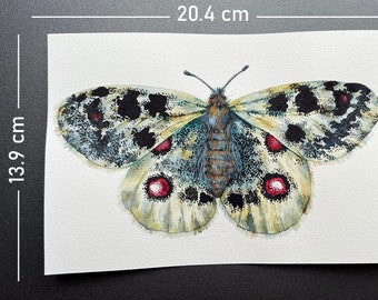 Originaux d’aquarelle de papillon - Papillons aquarelles du Royaume-Uni - Art original de papillons européens