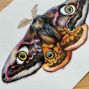 Kaiser Motte Aquarell Original - UK Aquarell Motte