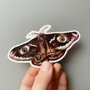 Emperor moth vinyl sticker 2 - Saturnia pavonia sticker - iPad moth sticker - Waterproof sticker - Watercolour Sticker - Insect sticker
