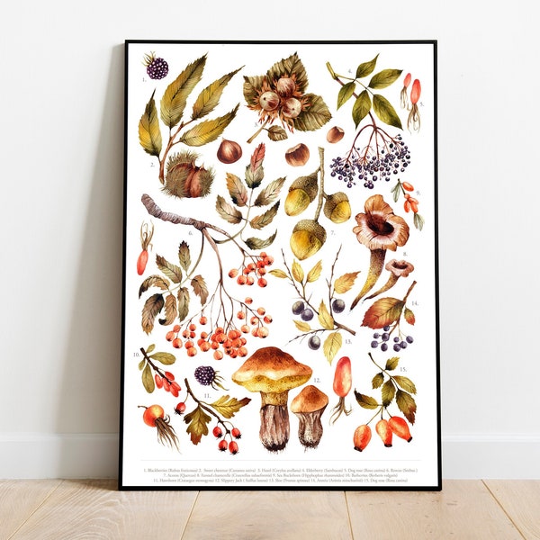 Autumnal Wild Foods Giclée Print 2 - Wild Foods Art - Wild food Art - Summer Foraging - Wild food Print - Seasonal Food Print - Forest Food