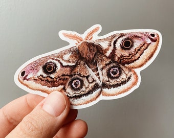 Emperor moth vinyl sticker - Saturnia pavonia sticker - iPad moth sticker - Waterproof sticker - Watercolour Sticker - Insect sticker