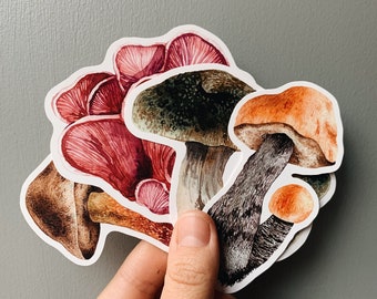 Mushrooms vinyl stickers - Nature sticker pack - iPad stickers - Waterproof stickers - Bottle fungi stickers