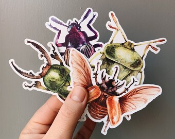 Beetle vinyl stickers - Nature sticker pack 2 - iPad stickers - Waterproof bug stickers
