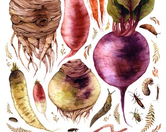 Root vegetable Print - Summer Garden Print - Vegetable Art Print - Botanical Garden Print - Kitchen Art Print