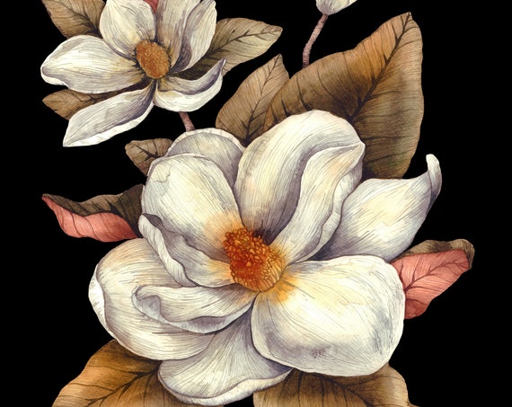 Botanical Magnolia Print - Magnolia Print - Floral Art Print - Flower Print - Magnolia vintage print
