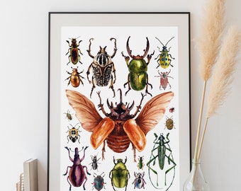 Beetles Print - Bugs Art - Bugs Print - Kids Room Decor - Insect Print - A4 Print - Insect wall art - Nursery Wall Art