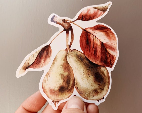 Pear vinyl sticker - Autumn pear sticker - iPad fruit sticker - Waterproof sticker - Watercolour Sticker - Botanical sticker