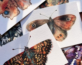 Butterfly postcards - Illustrated butterflies postcards - Set of 7 postcards - UK Butterflies A6 postcards