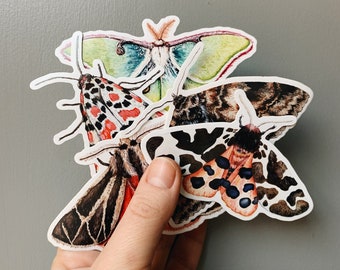 Moths vinyl stickers pack 2 - Nature sticker pack - iPad stickers - Waterproof stickers