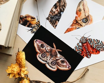 Moths Postcard Set - Pack of 5 postcards - Moths A6 Postcards - Insects postcards - Nature inspired postcards - Notecard