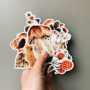 Wild Foods Sticker Set 1 - Wild Foods Stickers - Wildfood sticker set - Autumn Foraging stickers - Wild food stickers - Forest Food stickers