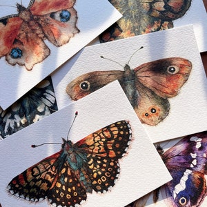 Butterfly postcards Illustrated butterflies postcards Set of 7 postcards UK Butterflies A6 postcards image 1