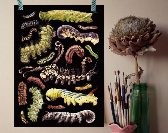 Caterpillars Giclée Print - Bugs Art - Bugs Print - Kids Room Decor - Insect Print - A4 Print - Insect wall art - Nursery Wall Art