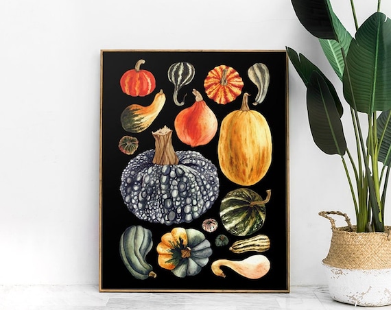 Pumpkin Patch Print - Pumpkin Art - Vegetable Print - Kitchen Print - A4 Print -  Garden wall art - Vegetables Wall Art