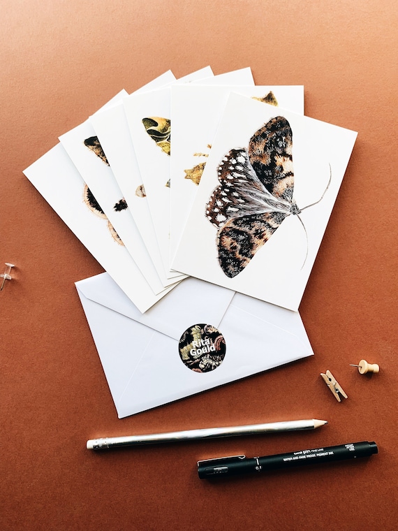 Moths Postcard Set 2 - Pack of 6postcards - Moths A6 Postcards - Insects postcards - Nature inspired postcards - Notecard