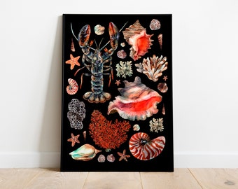 Shells Wall Art Print- Watercolour Starfish, Corrals, Sea shells - Vintage Art, Coastal Art, Natural Prints, Wall Décor, Beach Prints
