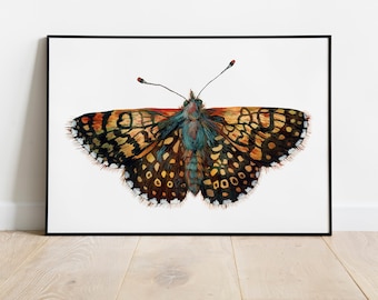 British Butterfly Print - Fritillary butterfly Art - Butterfly Room Décor - Butterfly collection - Butterfly wall art - Natural History  art