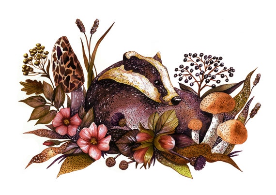 British Badger giclée illustration - Badger illustration with plants - Animal wall art - Natural History animal art - Kids room décor