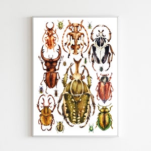 Beetles print - Bugs Art - Bugs Print - Kids Room Décor - Insect Print - A4 Print - Insect wall art - Nursery Wall Art