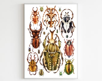 Beetles print - Bugs Art - Bugs Print - Kids Room Décor - Insect Print - A4 Print - Insect wall art - Nursery Wall Art