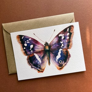 Butterfly postcards Illustrated butterflies postcards Set of 7 postcards UK Butterflies A6 postcards image 5