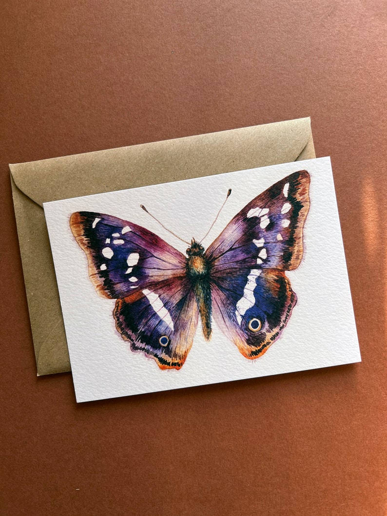 Butterfly postcards Illustrated butterflies postcards Set of 7 postcards UK Butterflies A6 postcards image 5