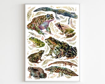 UK Frogs and toads, newts Wall Art Print- Watercolour UK Amphibians - Nature Art printWall Décor