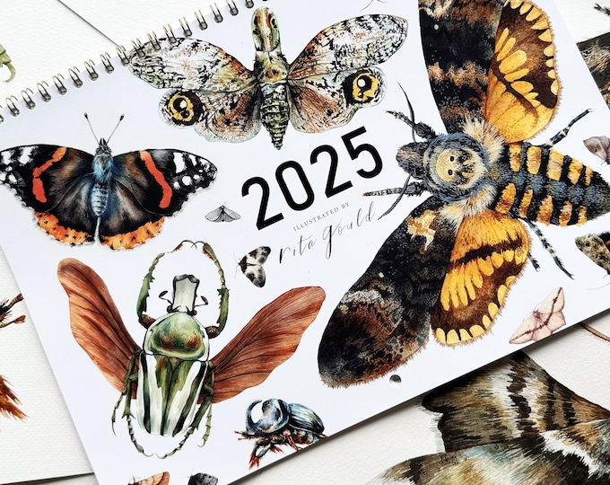 2025 Calendar 2025 Wall Calendar 2025 Insects Calendar