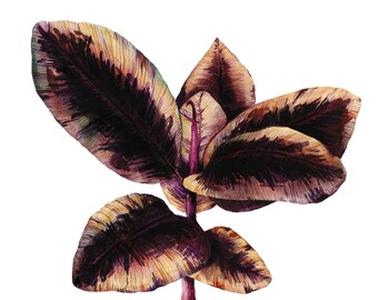 Dark Rubber Plant print - Tropical Leaves Art - Houseplant Wall Art - House plant Print - Ficus elastica art - Ficus Tropical Art