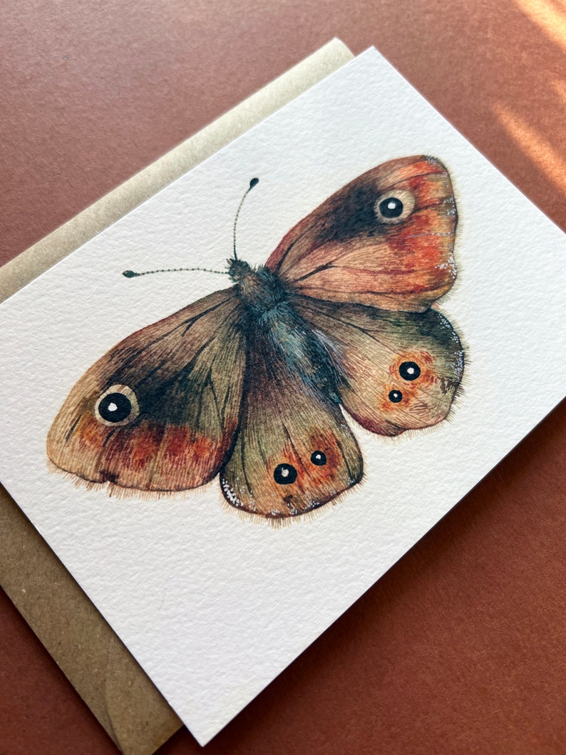 Butterfly postcards Illustrated butterflies postcards Set of 7 postcards UK Butterflies A6 postcards image 6