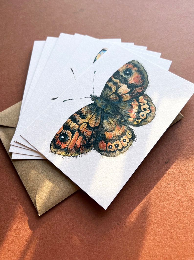 Butterfly postcards Illustrated butterflies postcards Set of 7 postcards UK Butterflies A6 postcards image 2