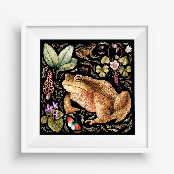Toad art print - Illustrated toad print - Frog print with plants and mushrooms- Kids Room Décor - Frog small print