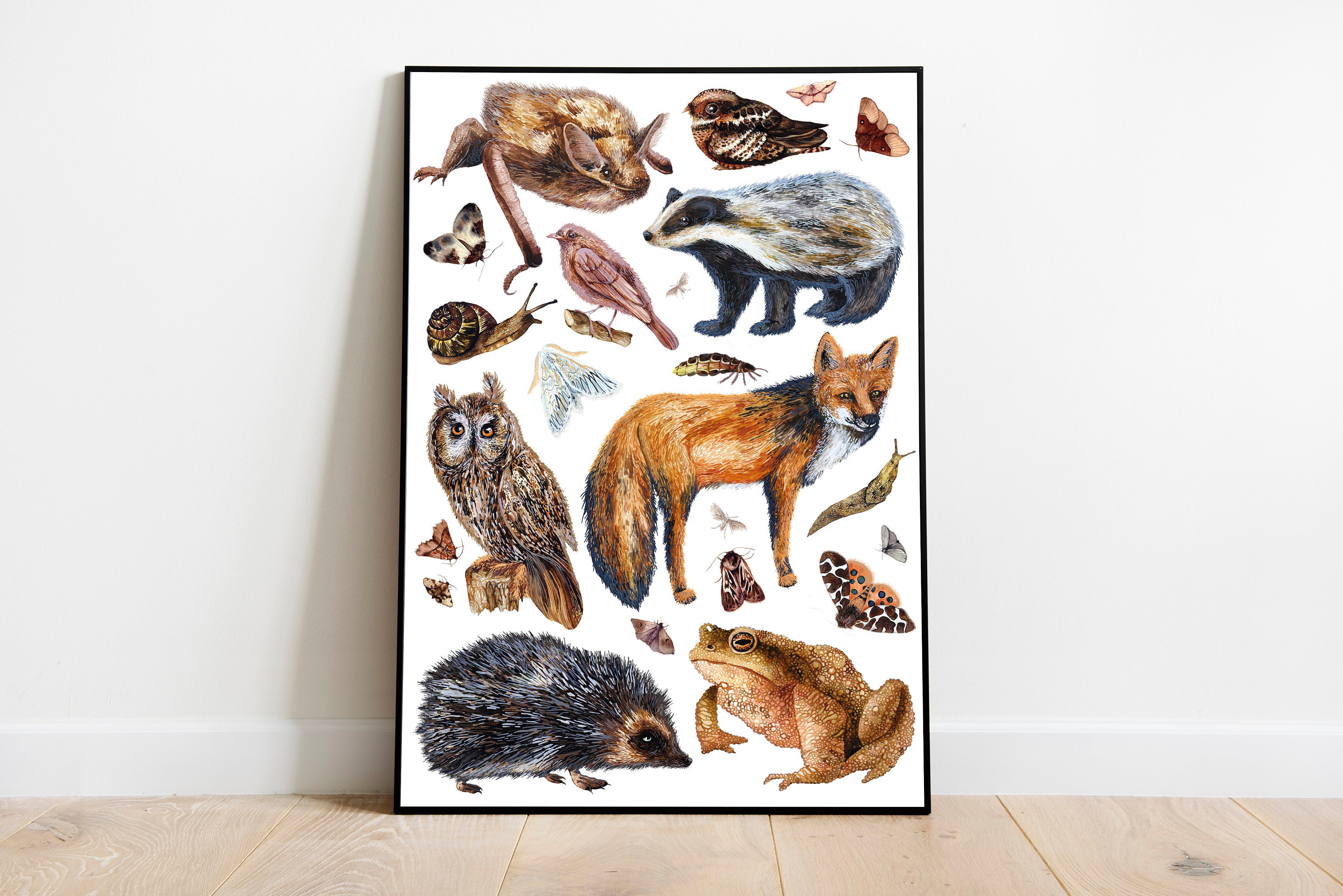 Nocturnal Animals Giclée Print 2 British Nocturnal Animals - Etsy Nocturnal Animals Giclée Print 2 British Nocturnal Animals - Etsy