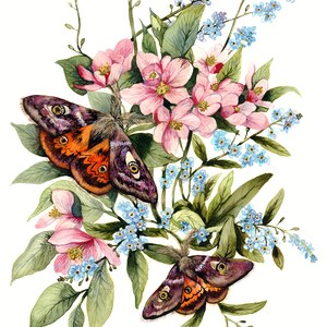 Kaiser Motten auf Apfelblüte Schmetterling Kunst Motten Décor Rosa Blumen Druck Florale Wandkunst Botanische Kunst Bild 2