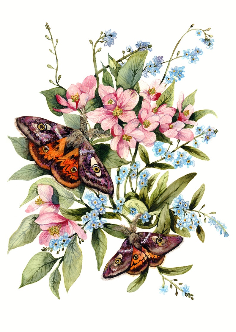 Kaiser Motten auf Apfelblüte Schmetterling Kunst Motten Décor Rosa Blumen Druck Florale Wandkunst Botanische Kunst Bild 2