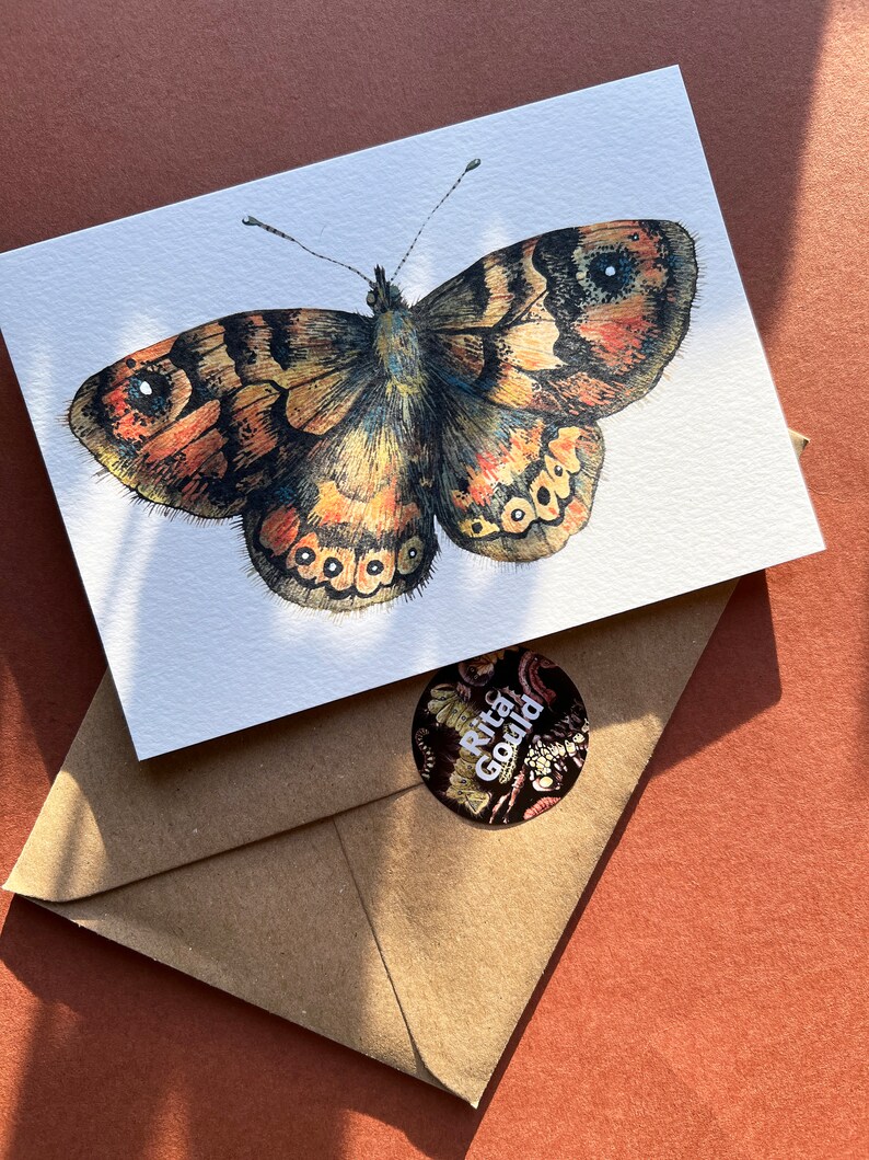 Butterfly postcards Illustrated butterflies postcards Set of 7 postcards UK Butterflies A6 postcards image 4