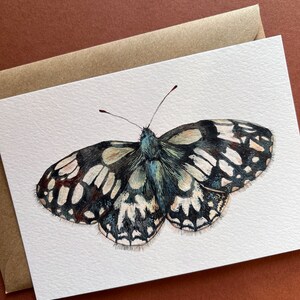 Butterfly postcards Illustrated butterflies postcards Set of 7 postcards UK Butterflies A6 postcards image 8