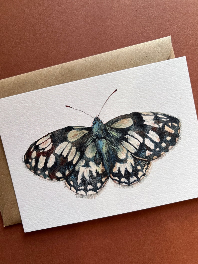 Butterfly postcards Illustrated butterflies postcards Set of 7 postcards UK Butterflies A6 postcards image 8