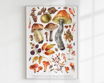 Wild Foods Print Print - Wild Foods Art - Wild food Art - Autumn Foraging - Wild food Print - Seasonal Food Print - Forest Food
