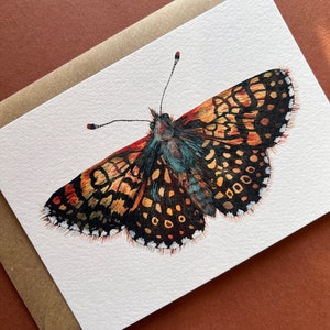 Butterfly postcards Illustrated butterflies postcards Set of 7 postcards UK Butterflies A6 postcards image 3