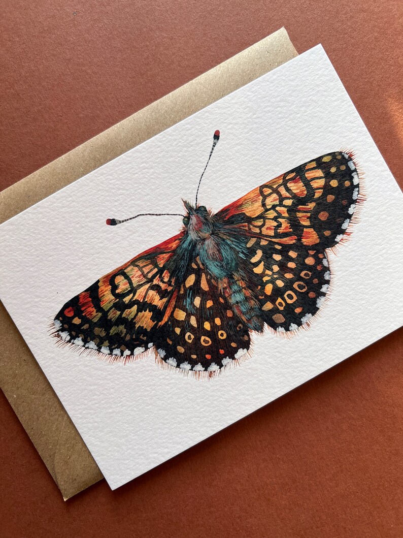 Butterfly postcards Illustrated butterflies postcards Set of 7 postcards UK Butterflies A6 postcards image 3