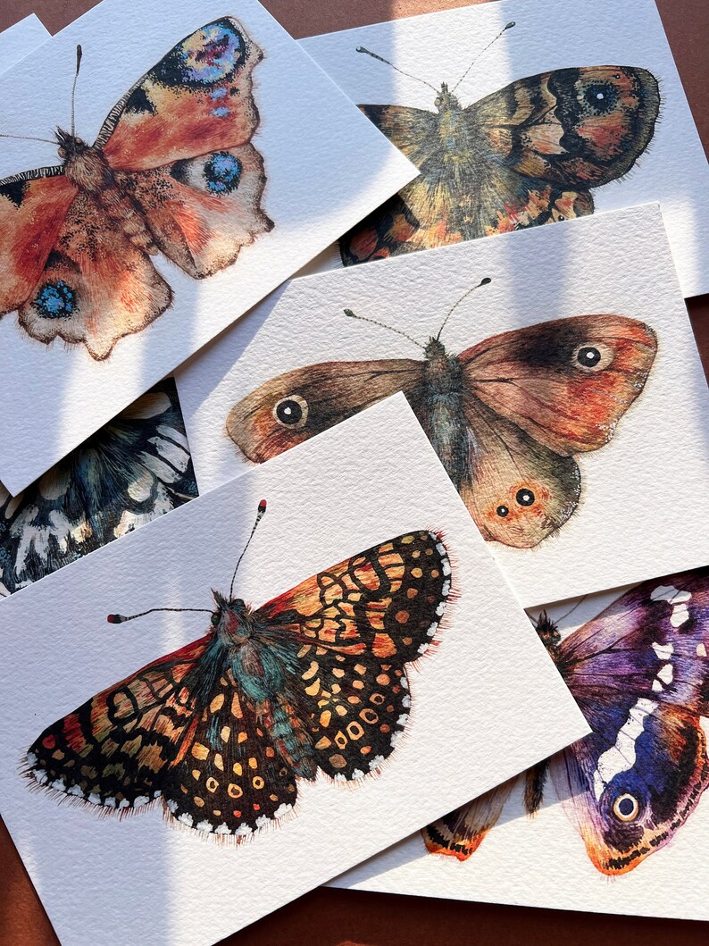 Butterfly postcards Illustrated butterflies postcards Set of 7 postcards UK Butterflies A6 postcards image 1