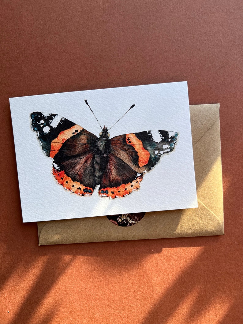 Butterfly postcards Illustrated butterflies postcards Set of 7 postcards UK Butterflies A6 postcards image 7