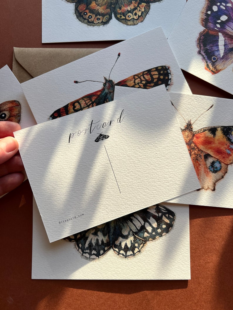 Butterfly postcards Illustrated butterflies postcards Set of 7 postcards UK Butterflies A6 postcards image 10