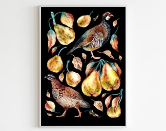 Partridges and Pears Wall Art Print- Watercolour Birds and pears - Vintage Art, Natural Prints, Wall Décor, Nature History Prints