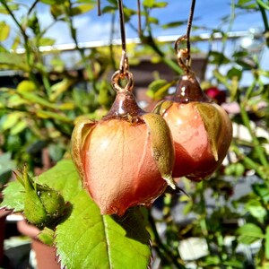 Könnte beinhalten: Ein Paar Rosenknospen-Ohrringe mit einer pfirsichfarbenen Rosenknospe aus Harz und grünen Blättern. Die Ohrringe sind an einem goldenen Draht.