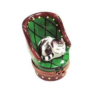 Cat in Green Chair