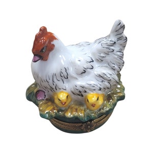 Hen w Chicks at Farm Chicken